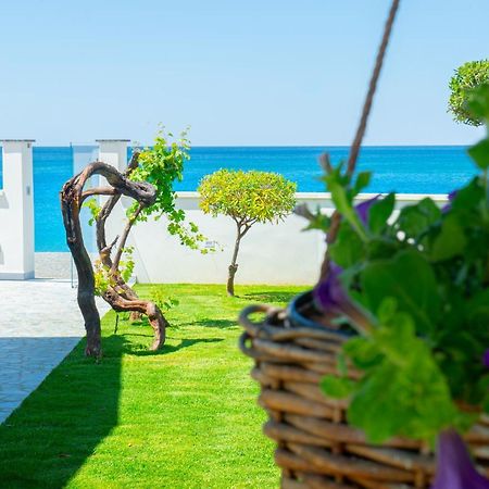Mbaccimari B&B เชตราโร ภายนอก รูปภาพ