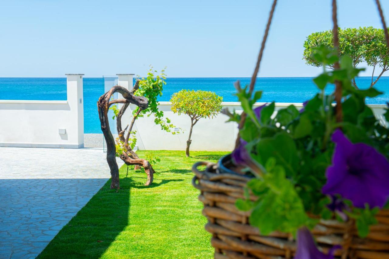 Mbaccimari B&B เชตราโร ภายนอก รูปภาพ